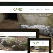Screenshots of CAKES Alligator's new website